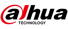 dahua